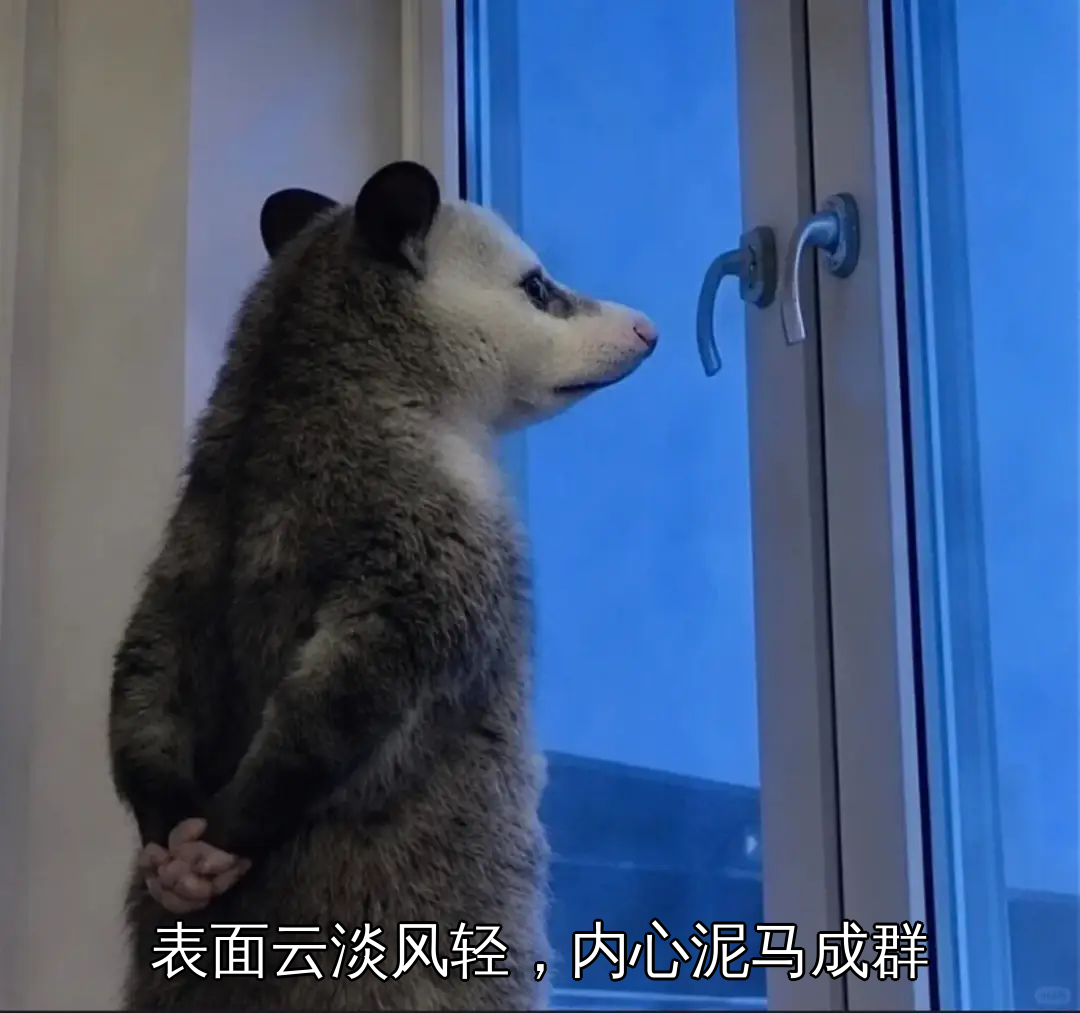 表面云淡风轻,内心尼玛成群